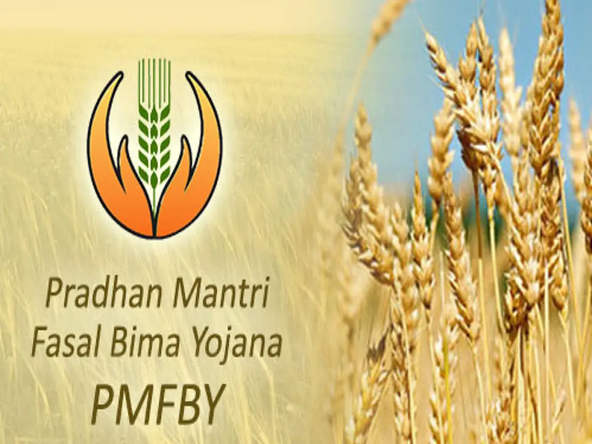Pradhan Mantri Fasal Bima Yojana: What is the Prime Minister's Crop ...