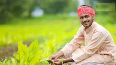aa
